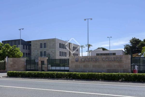 Terreno en Zona Alta