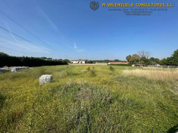 Terreno en Partida Del Plantio