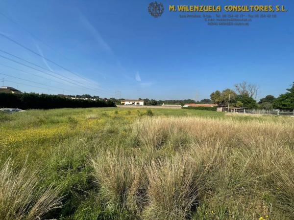 Terreno en Partida Del Plantio