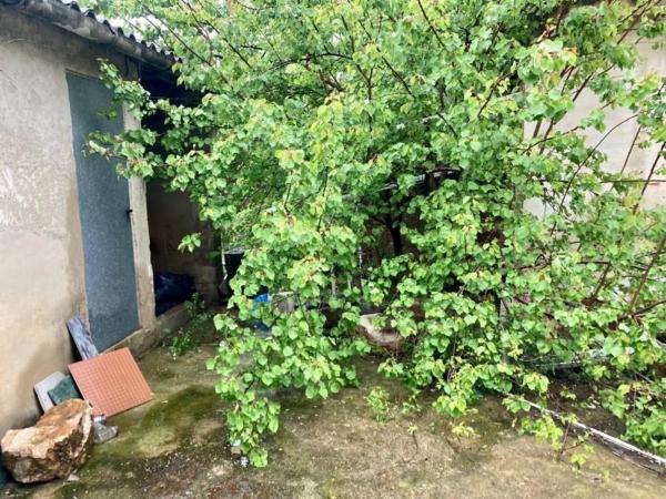 Terreno en El Alborgí