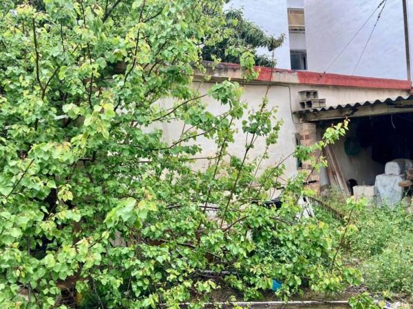 Terreno en El Alborgí