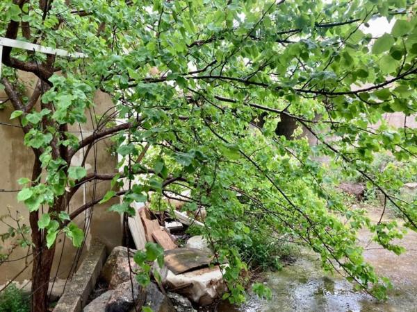 Terreno en El Alborgí