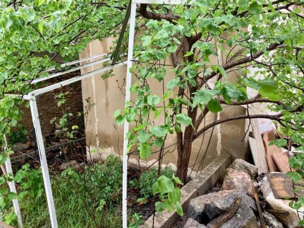 Terreno en El Alborgí