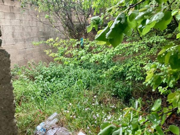 Terreno en El Alborgí