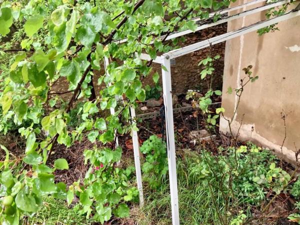 Terreno en El Alborgí