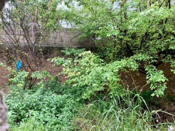 Terreno en El Alborgí