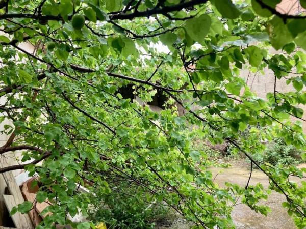 Terreno en El Alborgí