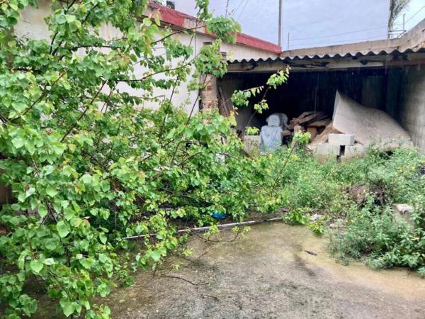 Terreno en El Alborgí