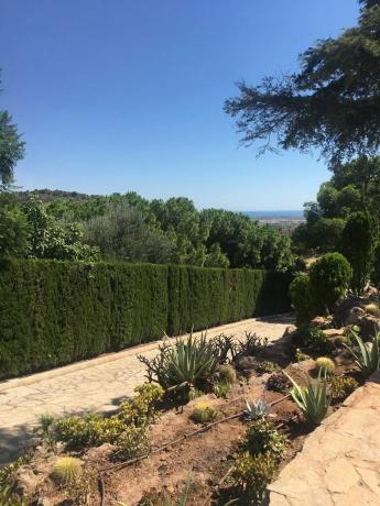 Terreno en calle Serrans, 21