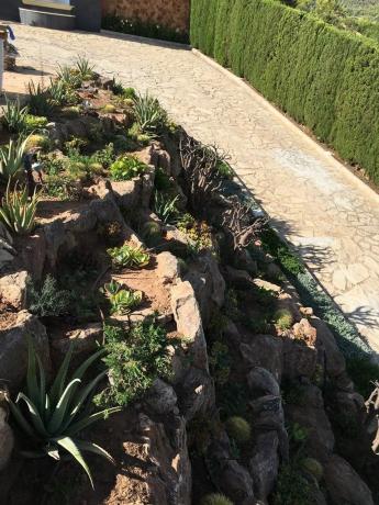 Terreno en calle Serrans, 21