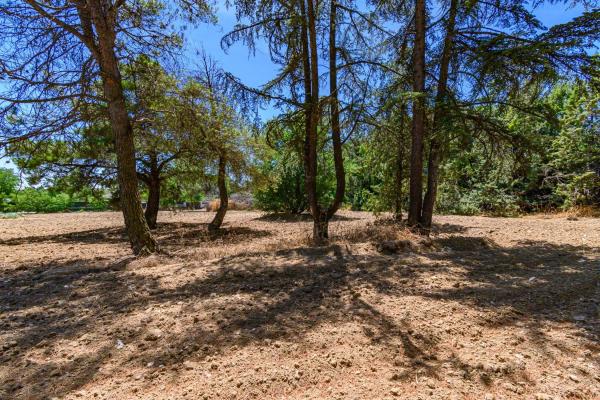 Terreno en avenida Baró de Campo Olivar