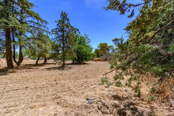 Terreno en avenida Baró de Campo Olivar
