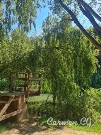 Terreno en calle 320