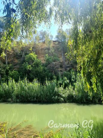 Terreno en calle 320