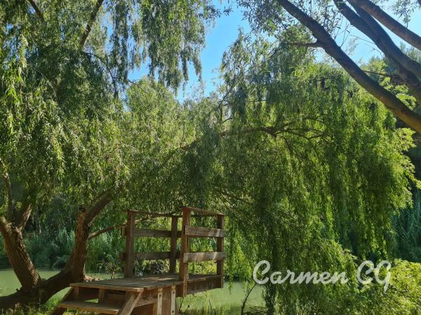 Terreno en calle 320