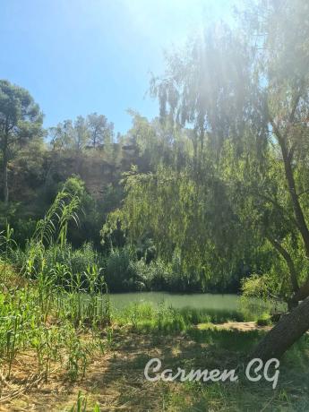 Terreno en calle 320