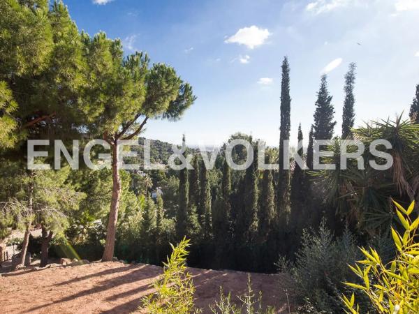 Terreno en calle Serrans