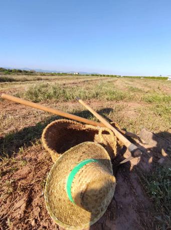 Terreno en calle Polígono 4, parcela 137 s/n