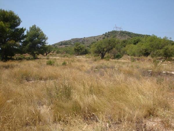 Terreno en carretera Bonavista, 9
