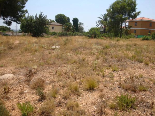 Terreno en carretera Bonavista, 9