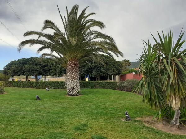 Terreno en avenida Retor Emilio Bayarri, 15