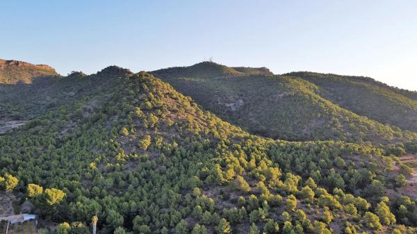 Terreno en avenida Retor Emilio Bayarri, 15