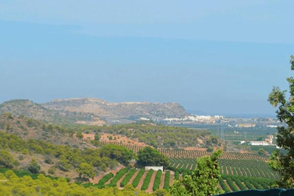 Terreno en paseo picayo