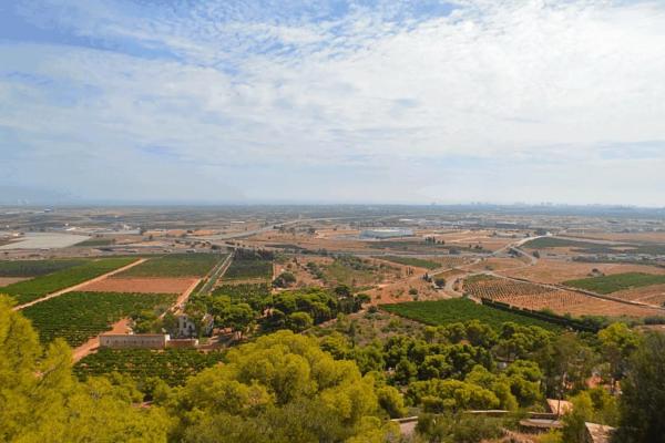 Terreno en paseo picayo