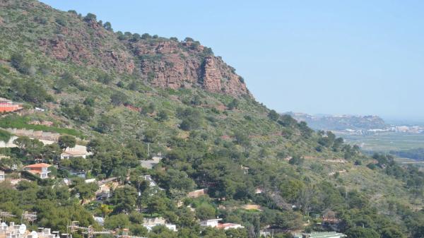 Terreno en paseo picayo