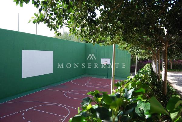 Terreno en calle Serrans