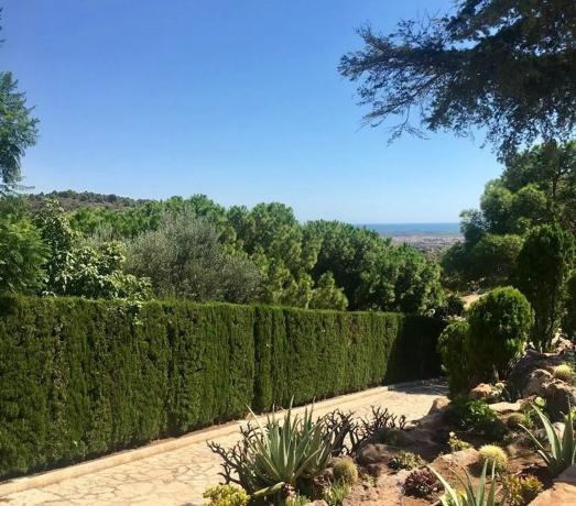 Terreno en calle Serrans