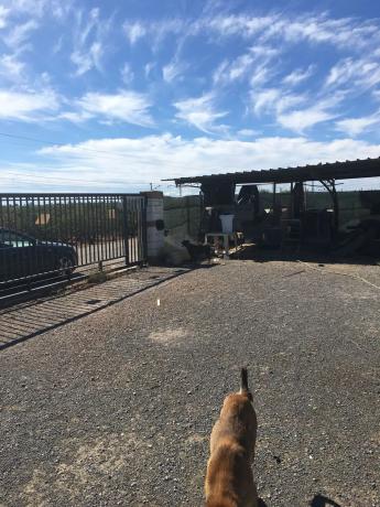 Terreno en camino corretgers s/n