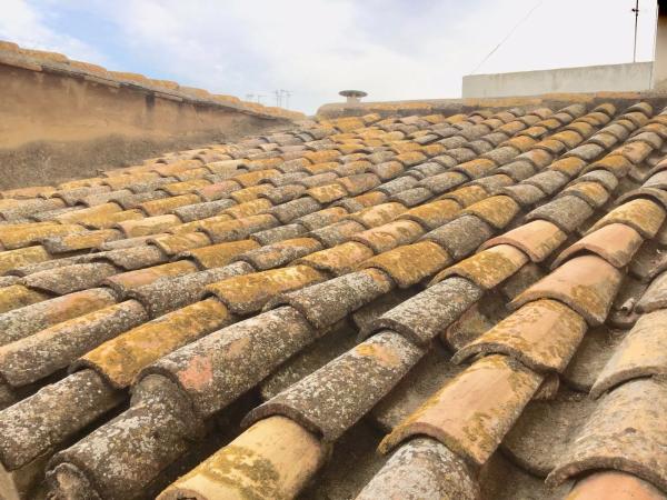 Terreno en avenida mayor