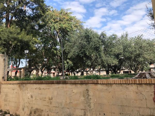 Terreno en calle sant josep, 41