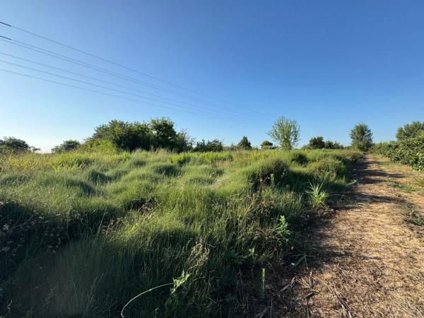 Terreno en Distribuïdor Sud s/n