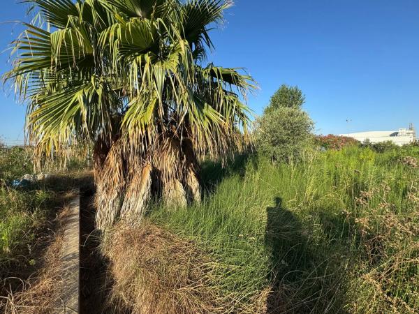 Terreno en Distribuïdor Sud s/n