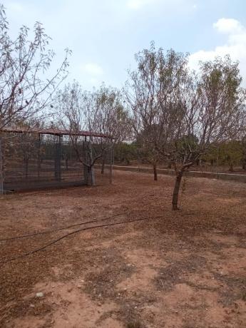 Terreno en plaza Numero 9