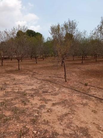 Terreno en plaza Numero 9