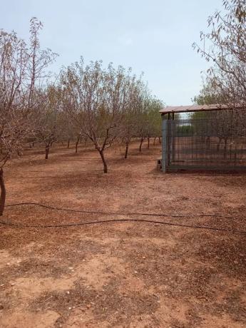 Terreno en plaza Numero 9