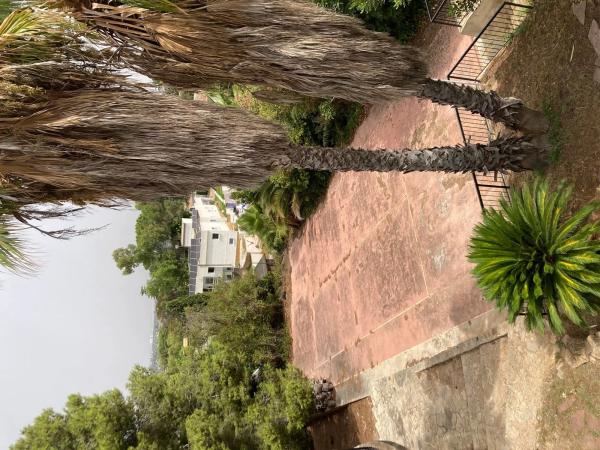 Terreno en Urbanització Tancat de l'Alter, 70 /3