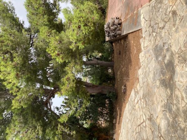 Terreno en Urbanització Tancat de l'Alter, 70 /3