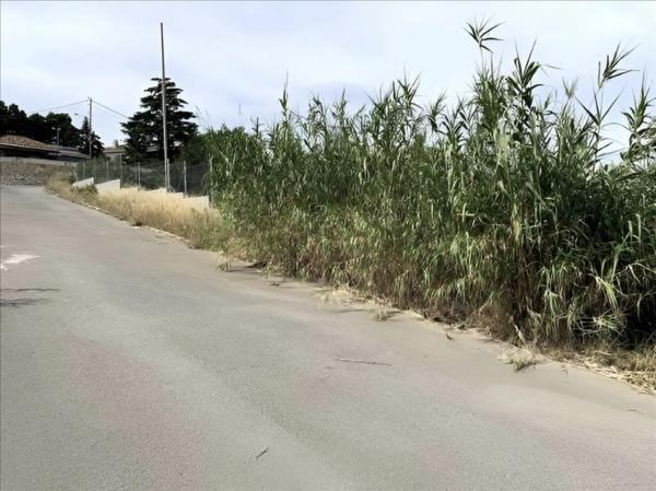 Terreno en calle Peris y Valero