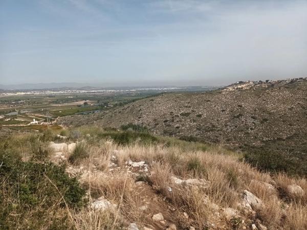 Terreno en calle Peris y Valero, 36