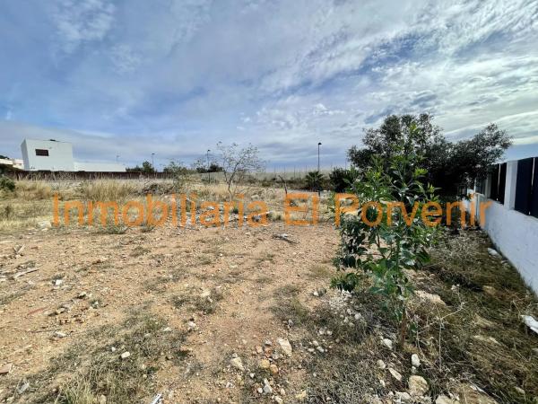 Terreno en calle Llauradó Francisco Vives, 6