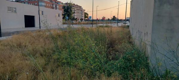 Terreno en avenida de Manuel Broseta Pont s/n