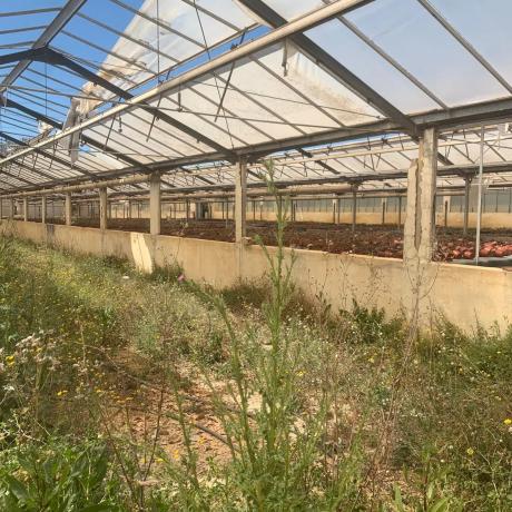 Terreno en calle Penyagolosa