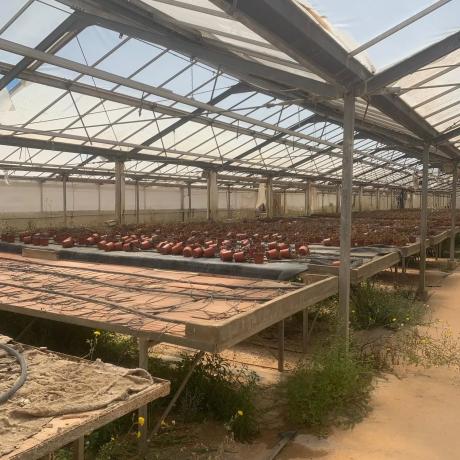 Terreno en calle Penyagolosa