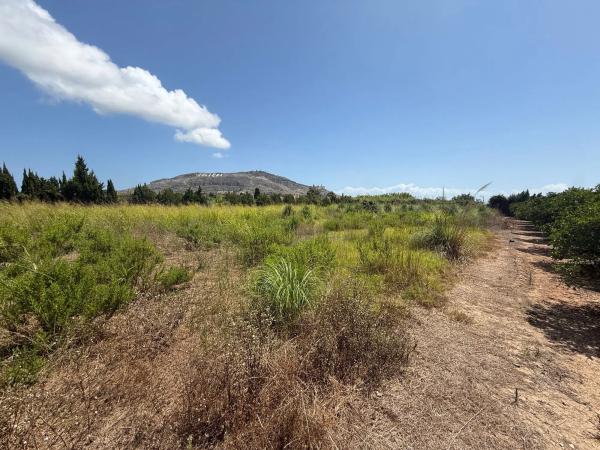 Terreno en camino Terres Noves s/n