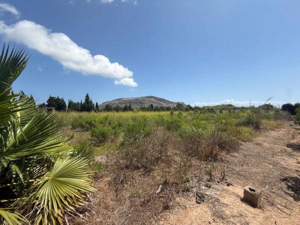 Terreno en camino Terres Noves s/n