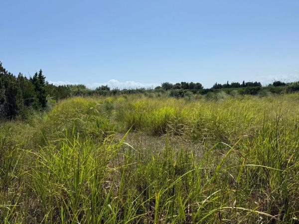 Terreno en camino Terres Noves s/n